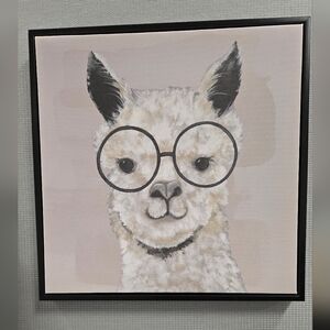 Llama/Alpaca with glasses picture